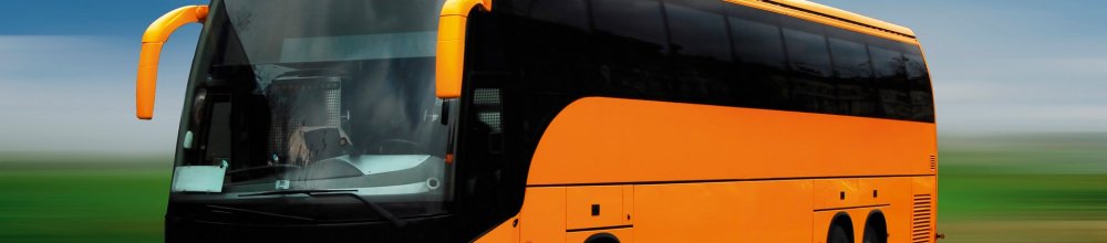 Transport - bus