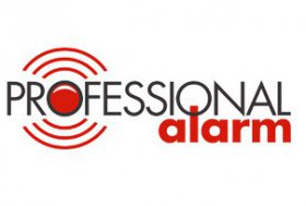 Professional Alarm L.L.C
